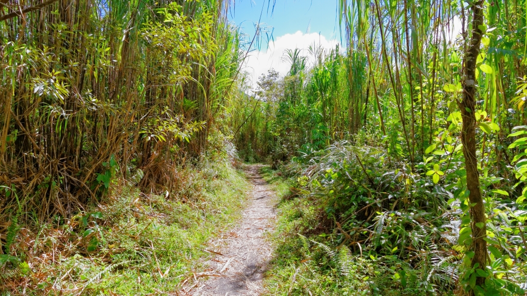 03 - Volcan Arenal (10).jpg